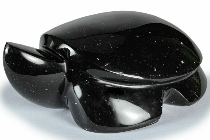 Polished Black Basalt Turtle - California #309064